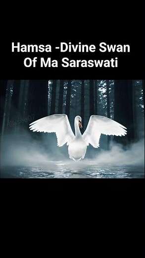 The Mystical Swan of Saraswati | Symbol of Wisdom and Liberation Hamsa #hamsa #saraswati #swan