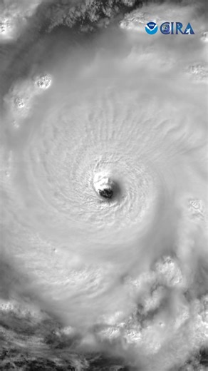 An absolutely stunning view today of Hurricane Humberto, a Category 5 storm. Details: This image contains the visible (band 2) product from the GOES-19 weather satellite. It spans the nearly seven-hour period from 14:10 UTC to 20:59 UTC on 2025-09-27. | Cooperative Institute for Research in the Atmosphere