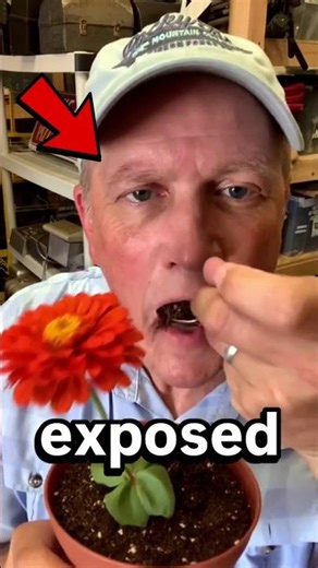 The Hidden Food Tricks Movies Use