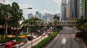 Timelapse Hong Kong Street Roads with Green Palms on Median