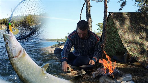 Bushcraft survival: 2 days catch & cook on a remote island