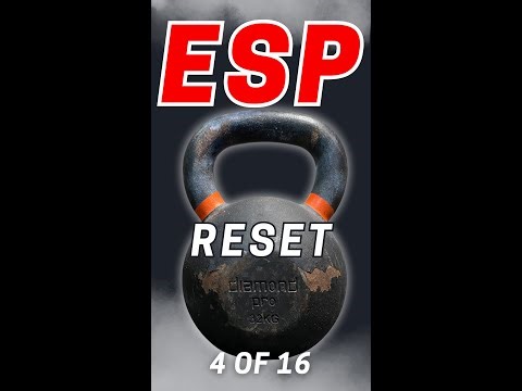 Reset & Rebuild — A Foundational Recovery Session
