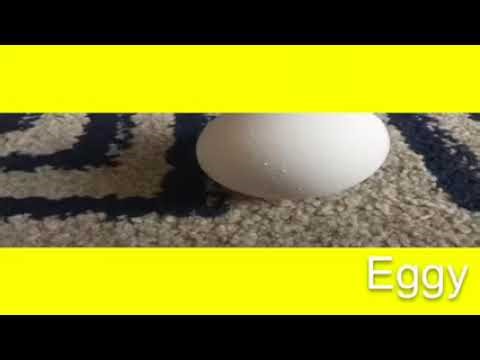 BFDI auditions real life (again)