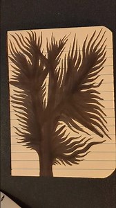 thorn tree time lapse drawing 🪾