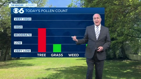Saturday Pollen Update: Tree and grass pollen levels lower thanks to rain