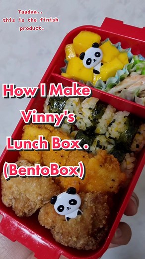 Japanese School Lunchbox (Bento Box) for Vinny