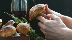 Guía de recetas con boletus: cómo aprovechar este hongo en tus platos