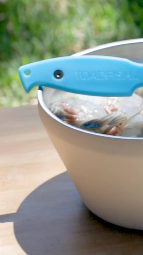 The Frogmore Shrimp Cleaner peels, deveins, and butterflies your shrimp in one smooth motion, saving you time and effort in the kitchen. Save big today on one of our favorite coastal seafood tools! 🦐🍤 #ShrimpCleaner #SeafoodTools #Toadfish #PutEmBack #CoastalLifestyle | Toadfish