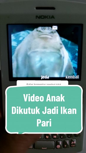 JAVACELLPHONE on TikTok