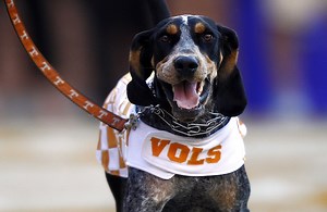 What TV channel is Tennessee Vols vs UTEP football on today? Live stream, spread, game odds