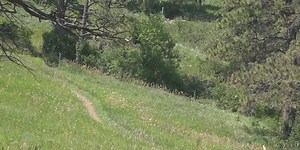 Tips you need before hitting the trail