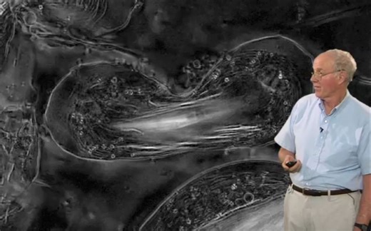 【公开课】【荧光显微镜系列5】暗场与相差显微镜