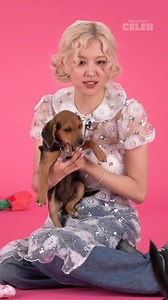 1.5M views · 10K reactions | Mother says...go watch the ROSÉ Puppy Interview on BuzzFeed Celeb right NOW! ‍♀️ #ROSÉ #PuppyInterview | BuzzFeed Celeb | Facebook