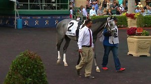 2K views · 144 reactions | Check out the latest edition of Derbyology, which profiles the most recent races on the road to the 2016 Kentucky Derby! Who's your current Derby horse? New TVG members are eligible for a $500 bonus! Get the details here: https://www.tvg.com/page/Get500 | FanDuel Racing | Facebook