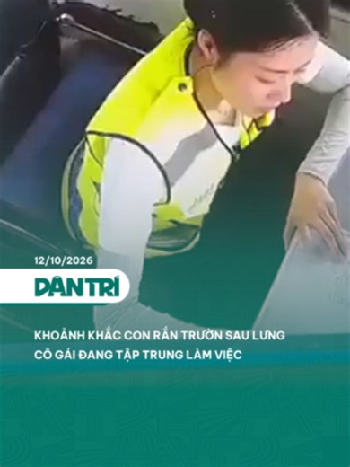 Khoảnh khắc con rắn trườn sau lưng cô gái đang tập trung làm việc #dantrinews #LearnOnTikTok #xuhuong
