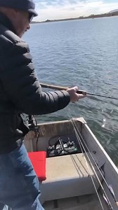 Hard fighting rainbow trout on light line landed with the Promar net! #rainbowtrout #promar #fishing #sportfishing #lightlinefishing | Promar & Ahi USA