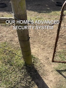Most Advanced Home Security System 2077 — Funny Security Meme