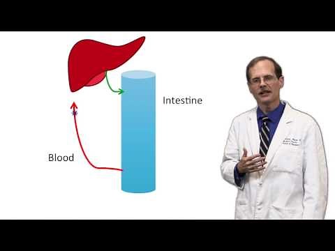 Intrinsic Clearance - Biliary excretion