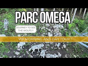Parc Omega VIP Morning Tour and Day Tour