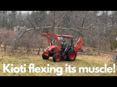 Kioti Tractor is BACK!!! Taking down a birch tree and ripping up roots with the backhoe!
