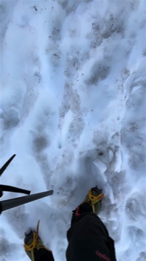 Mount Shasta Mountaineering Guide: Essential Hiking Tips