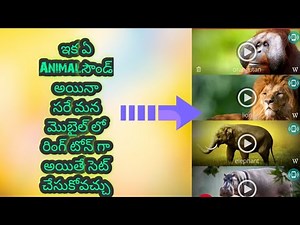how to set animal sounds as your phone ringtone