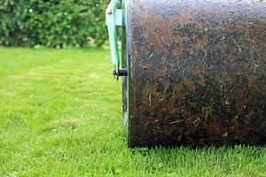 When to Roll Your Lawn?