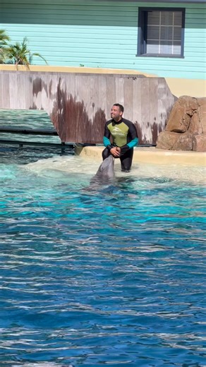 4.2K views · 139 reactions | Dolphin’s vocals from their blowhole #demonstration #educational #seaworld | Travisandcousins | Facebook