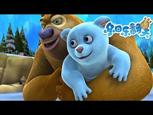 北极熊出没🐼☝️ | 熊出没 Boonie Bears | Cartoon