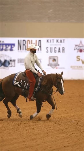 Finals Day!! 🔥 SCR Bad Bama Jama// Rein: Draw #23 Cow: Draw #23 🔥 SJR Mists Stylishrey// Rein: Draw #8 Cow: Draw #3 Wishing everyone good luck today!! Tune in and watch 👇🏼 https://www.nrcha.com/events/snaffle-bit-futurity/ . . . . #sarcolegacyhorses #nrcha #snafflebitfinals | Sarco Creek Ranch