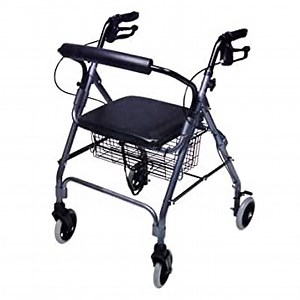 Lumex Walkabout Rollator