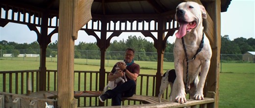 Open - Official Trailer