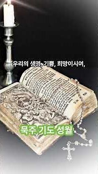 천주교 묵주 기도 성월