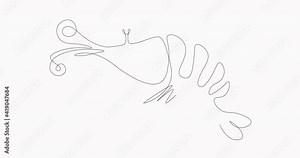 Self Drawing of one line Vector Shrimp. Self-drawing a simple animation of one continuous line. 4K Stock video Animated sketch vector drawing. Sea Shrimp one line drawing.