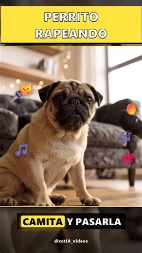 This PUPPY raps and he KILLS IT 🐶🎤