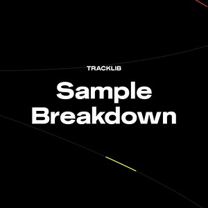 1.2K views · 50 reactions | How fast can you guess the song from the sample? ⏱ #samplebreakdown | Tracklib | Facebook