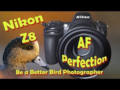 Nikon Z8 Auto focus perfection - Cycle Area AF