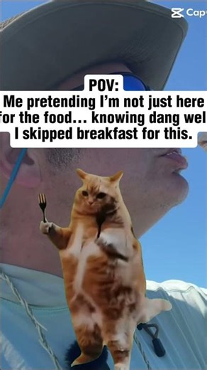 Skippin Breakfast #shortsvideo #cat #fatcat #chonkycat