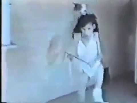 Obey the Walrus / Original