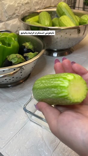 Authentic Syrian Mixed Stuffed Dish Recipe