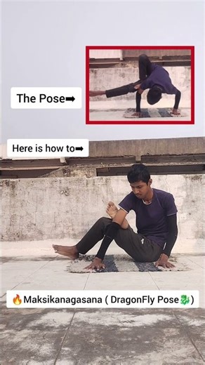 Dragonfly Pose🐉| Advanced Arm Balance for Strength & Flexibility #viralclip #calisthenics #trending