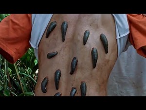 Bloodsucking Leeches Scene - Anacondas 2 Movie Clip