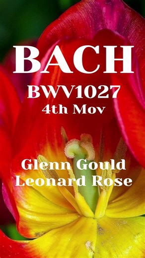 Glenn Gould BWV 1027 4th Mov