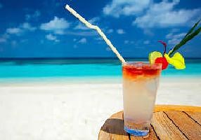 海外「透明できれい！」東京近くにある美しい南国ビーチに海外が感動