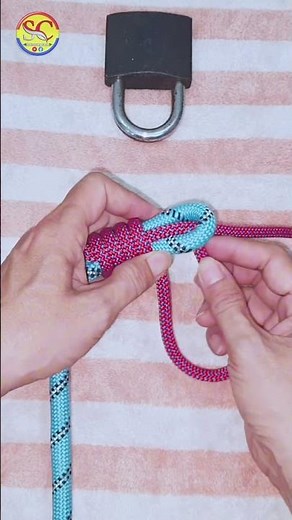 Knot rope tip diy idea for you 💡 Easy fast binding knot