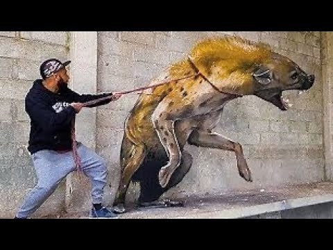 10 Most Unusual Pets in the World.