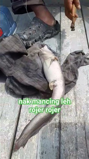 It's fun to watch friends pull nine