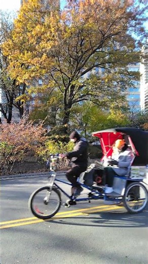 👉 "セントラルパーク… 木々と摩天楼が出会う魔法の瞬間 🌳🏙️✨"