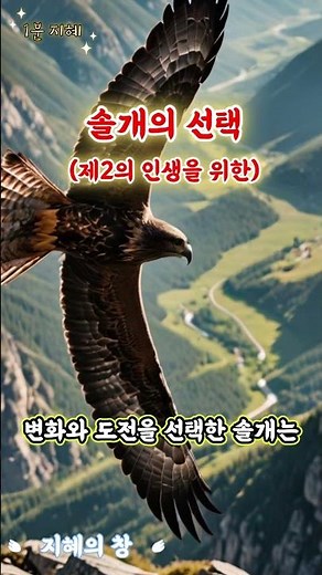 1분지혜(솔개의 선택) #지혜의창 #1분지혜 #지혜의