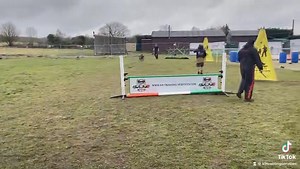 K9 Training Services: Dog Training Centre of Excellence on Reels